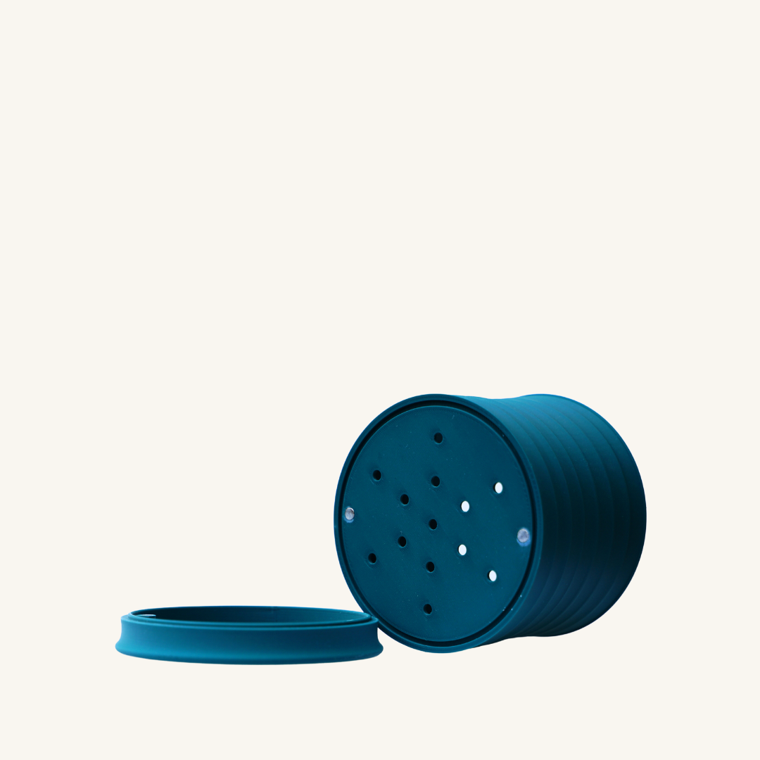 MELLO BELLO + Maidenhair fern