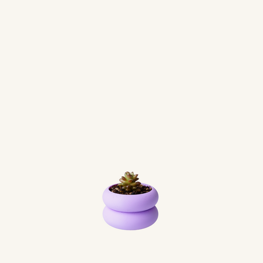 STACK STACK mini + Smol Succulent