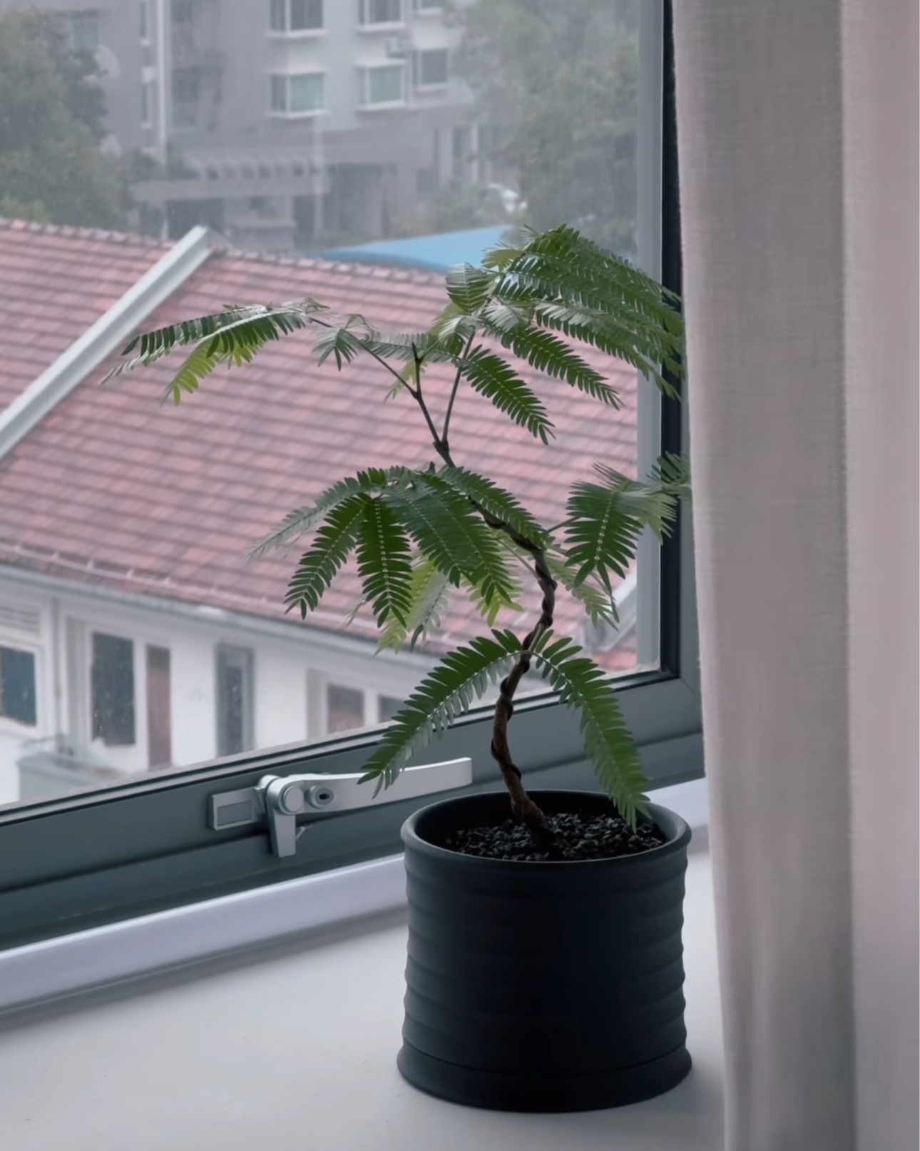 MELLO BELLO planter • Carbon