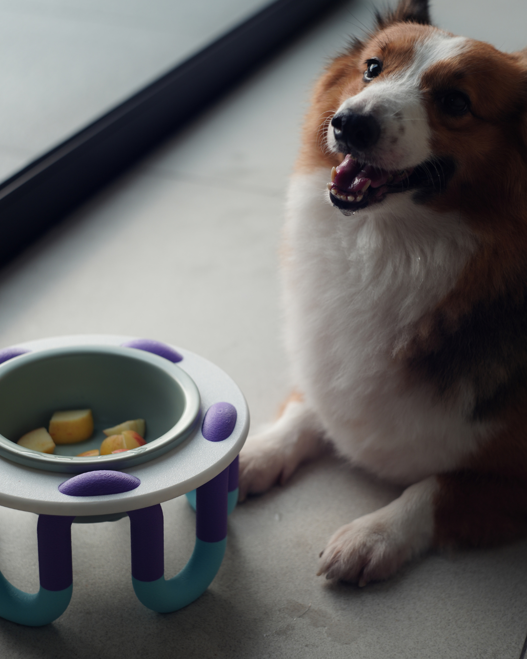 WIGGLY pet bowl // blueberry glacier