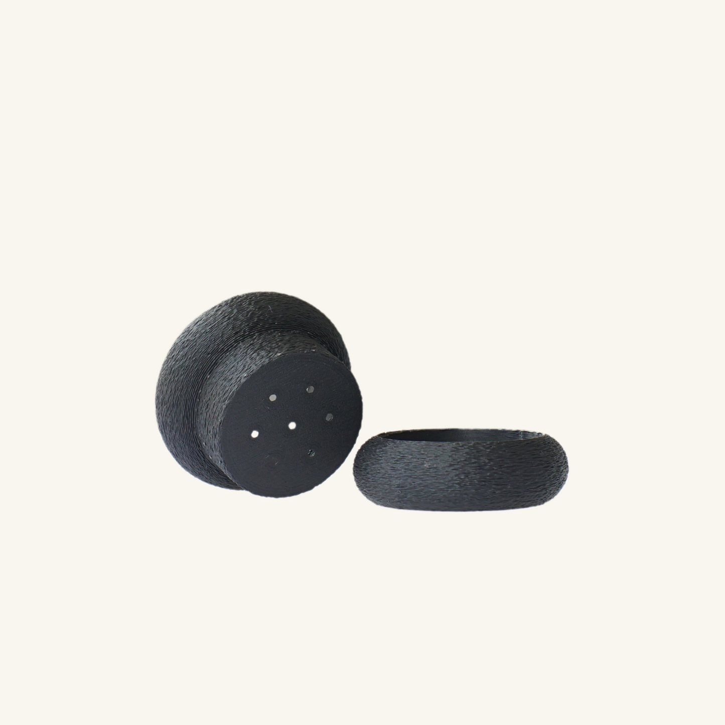 STACK STACK + Bottle tree (Brachychiton rupestris)