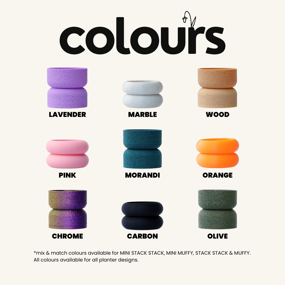 MELLO BELLO + Maidenhair fern