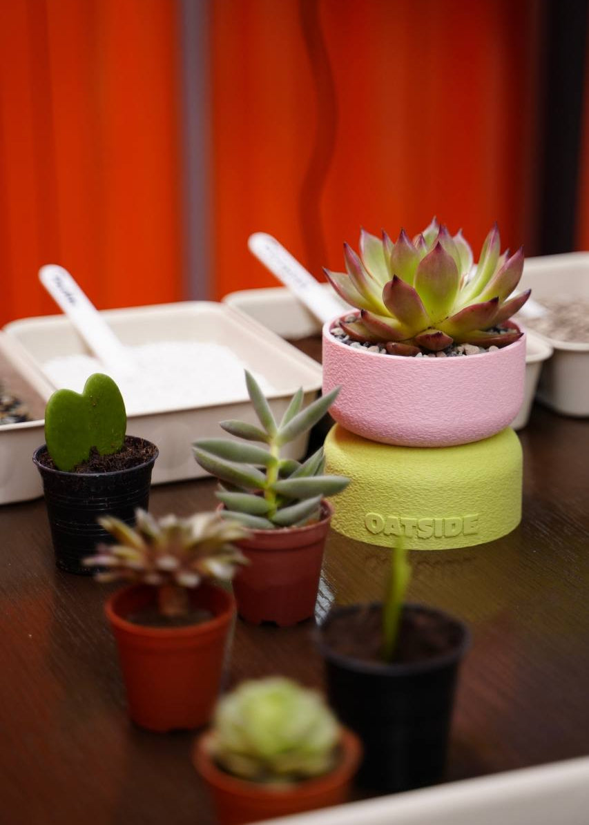 OATSIDE x PLOOK PLOOK planting workshop