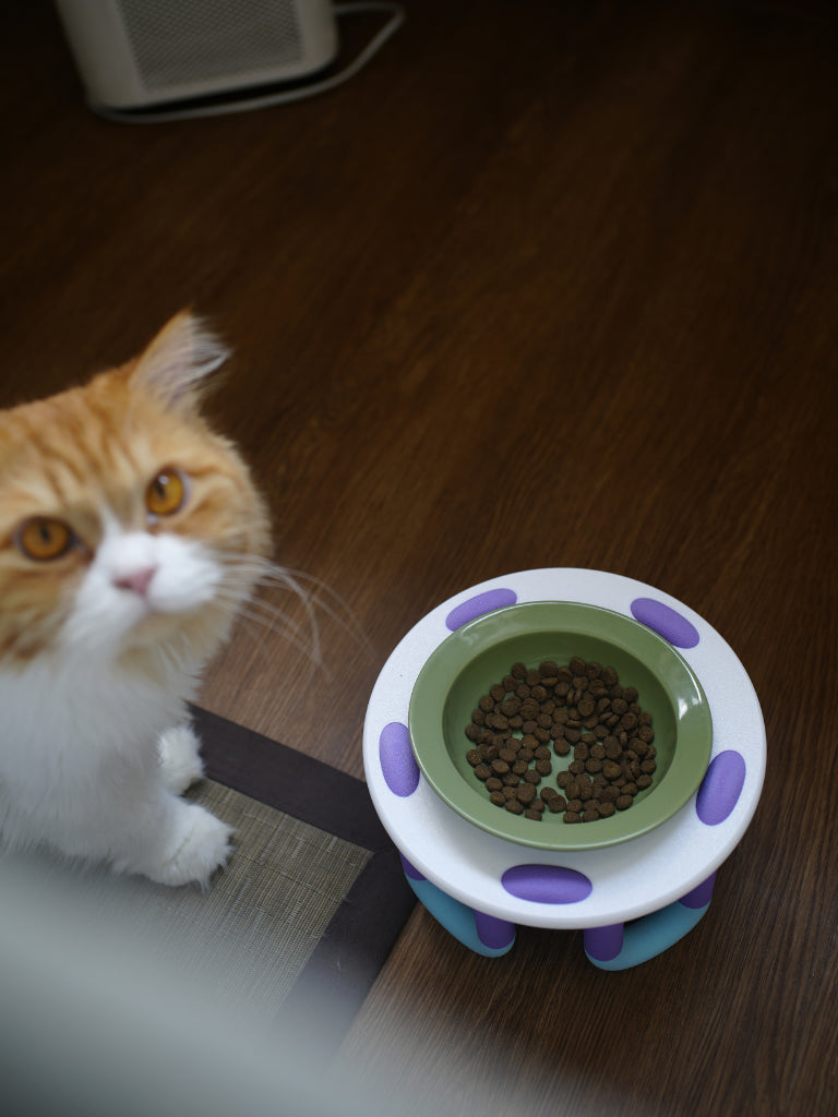 WIGGLY cat bowl // eat your peas!