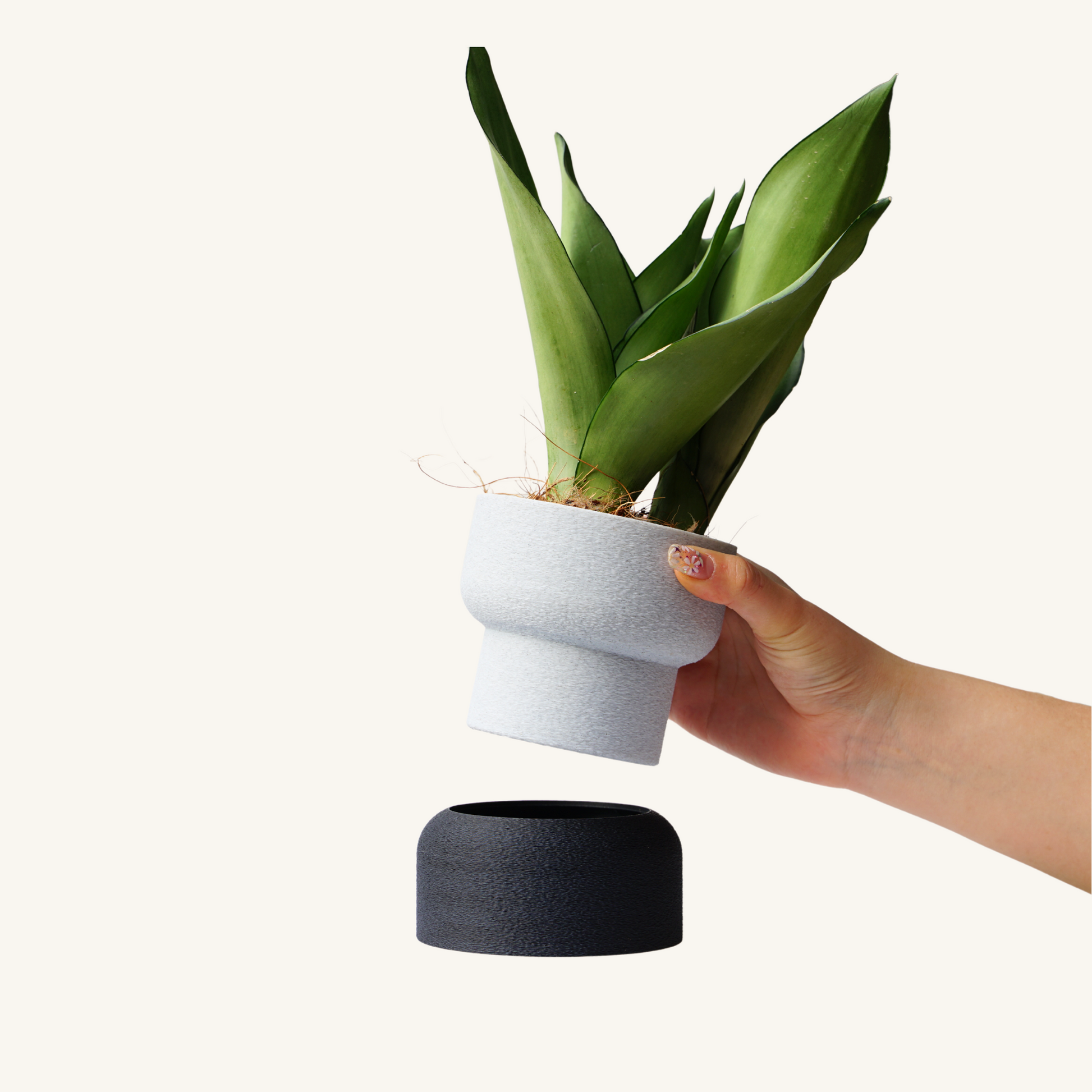 mu design plant pot MUFFY planter • Iron – PLOOK PLOOK