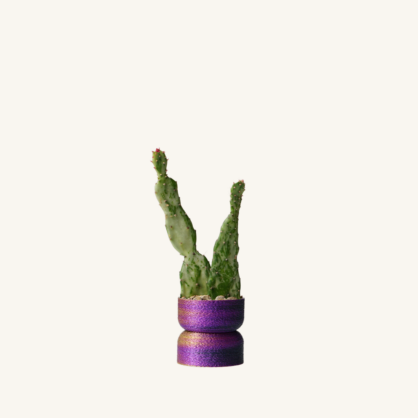 MINI MUFFY planter • Olive