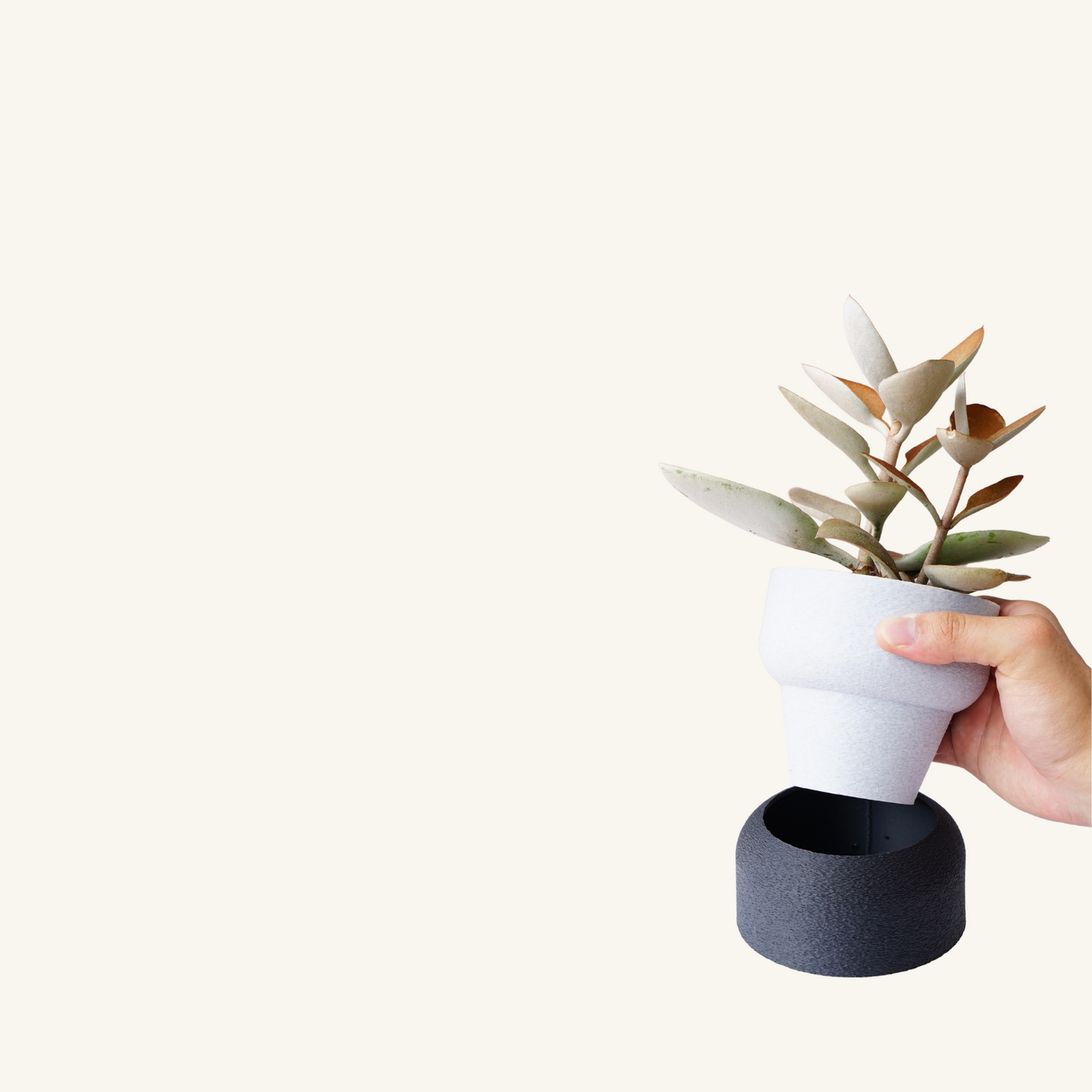 MUFFY planter • Mix & Match