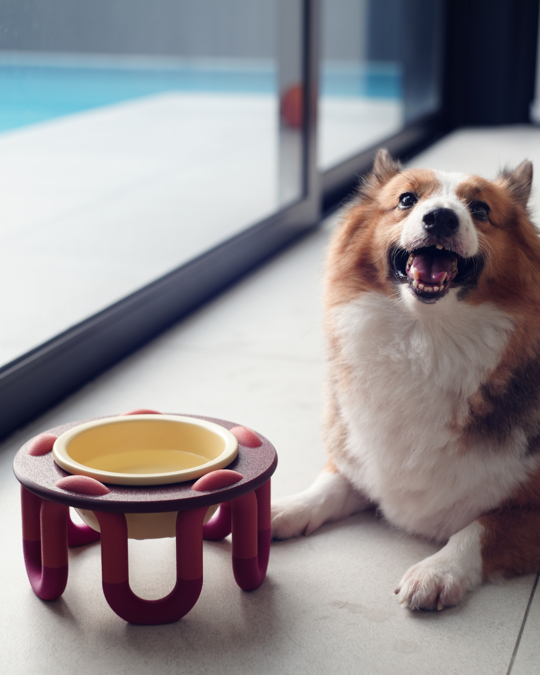 WIGGLY pet bowl