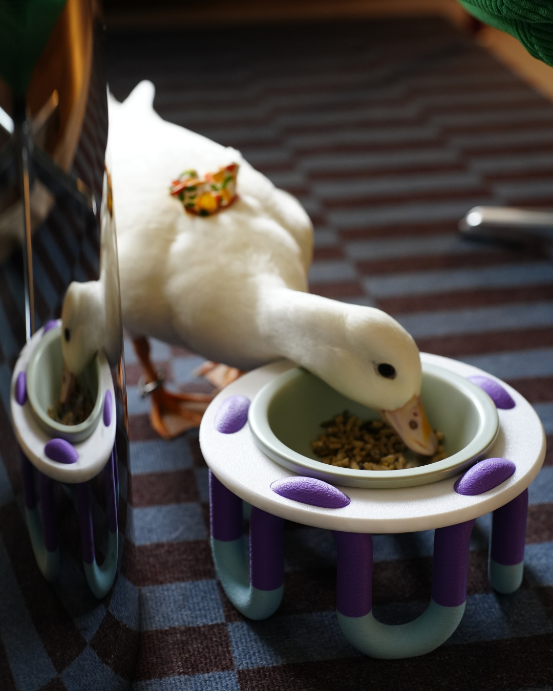 Petite Wiggly Pet Bowl // mix & match