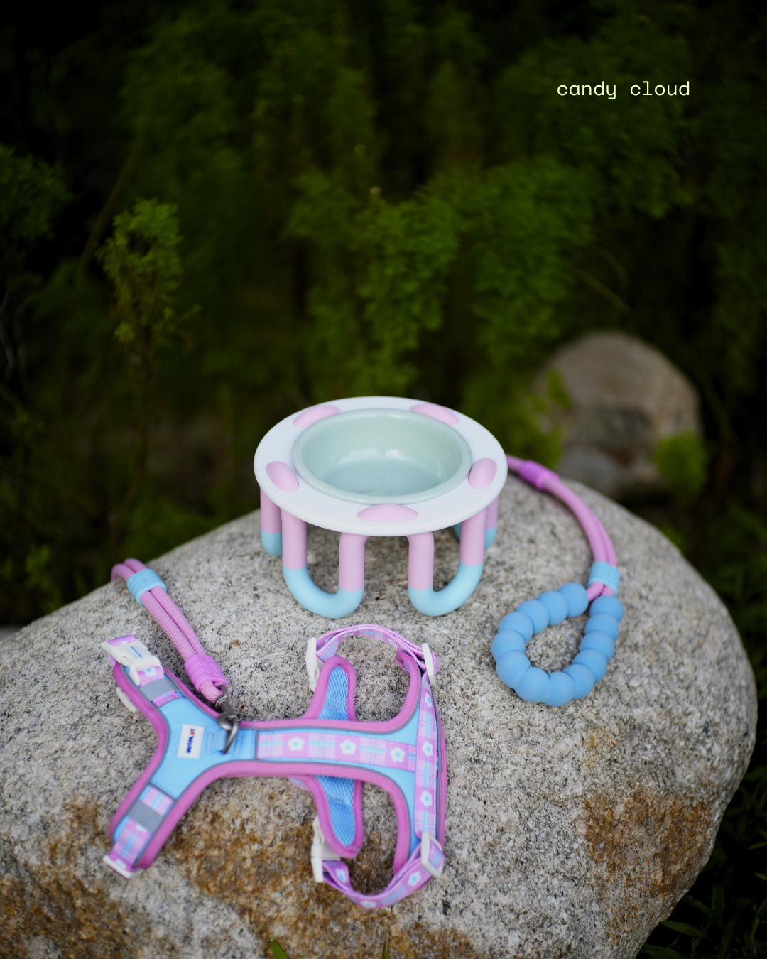 WIGGLY pet bowl // PP x OUTPLAY Special Edition