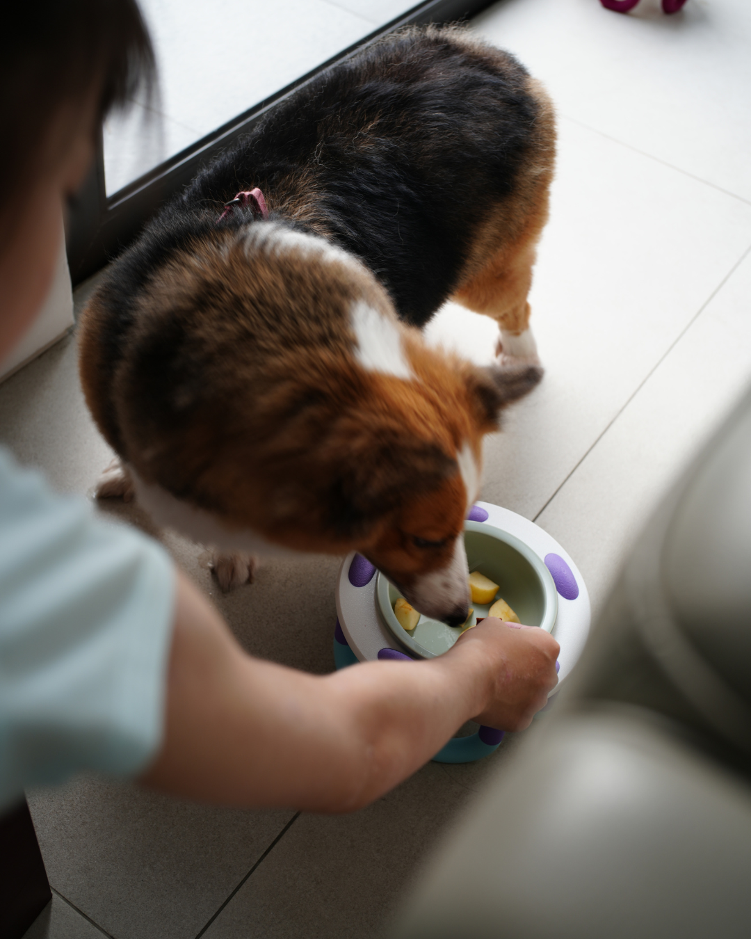 WIGGLY pet bowl