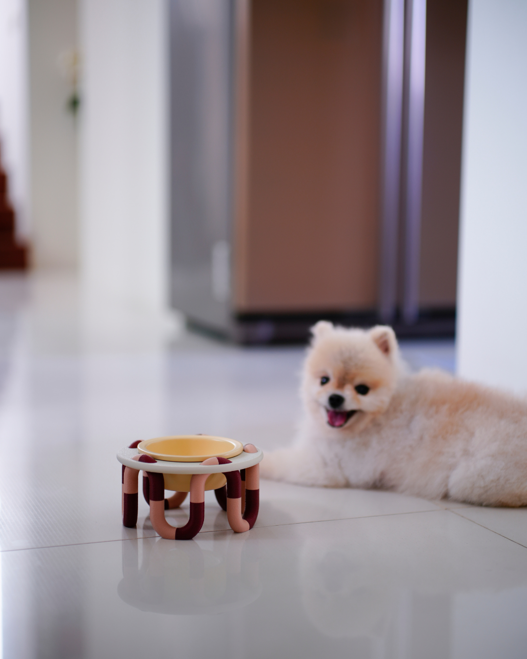 Petite Wiggly Pet Bowl // mix & match