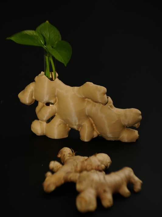 Ginger Vessel