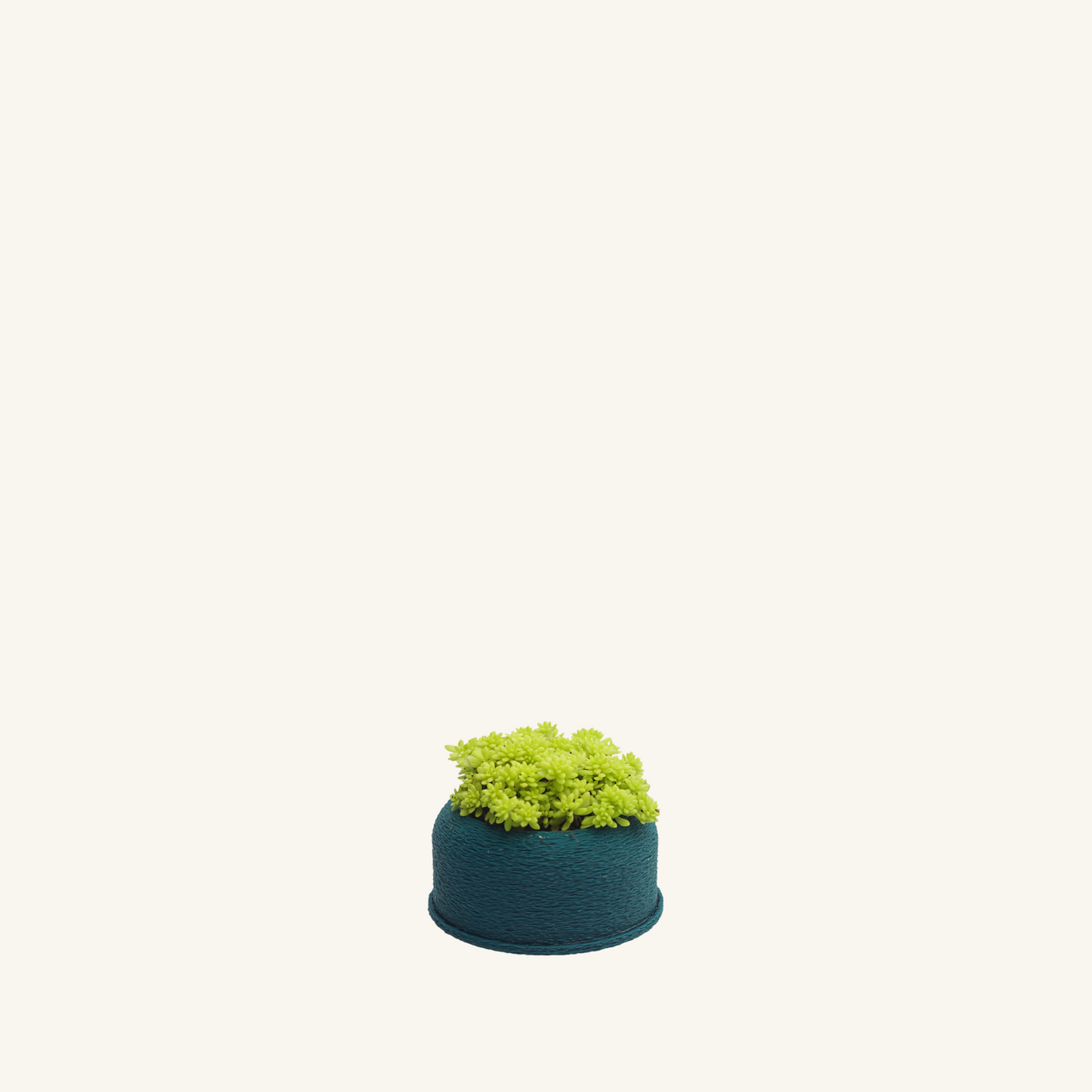 MINI SCRUFFY planter