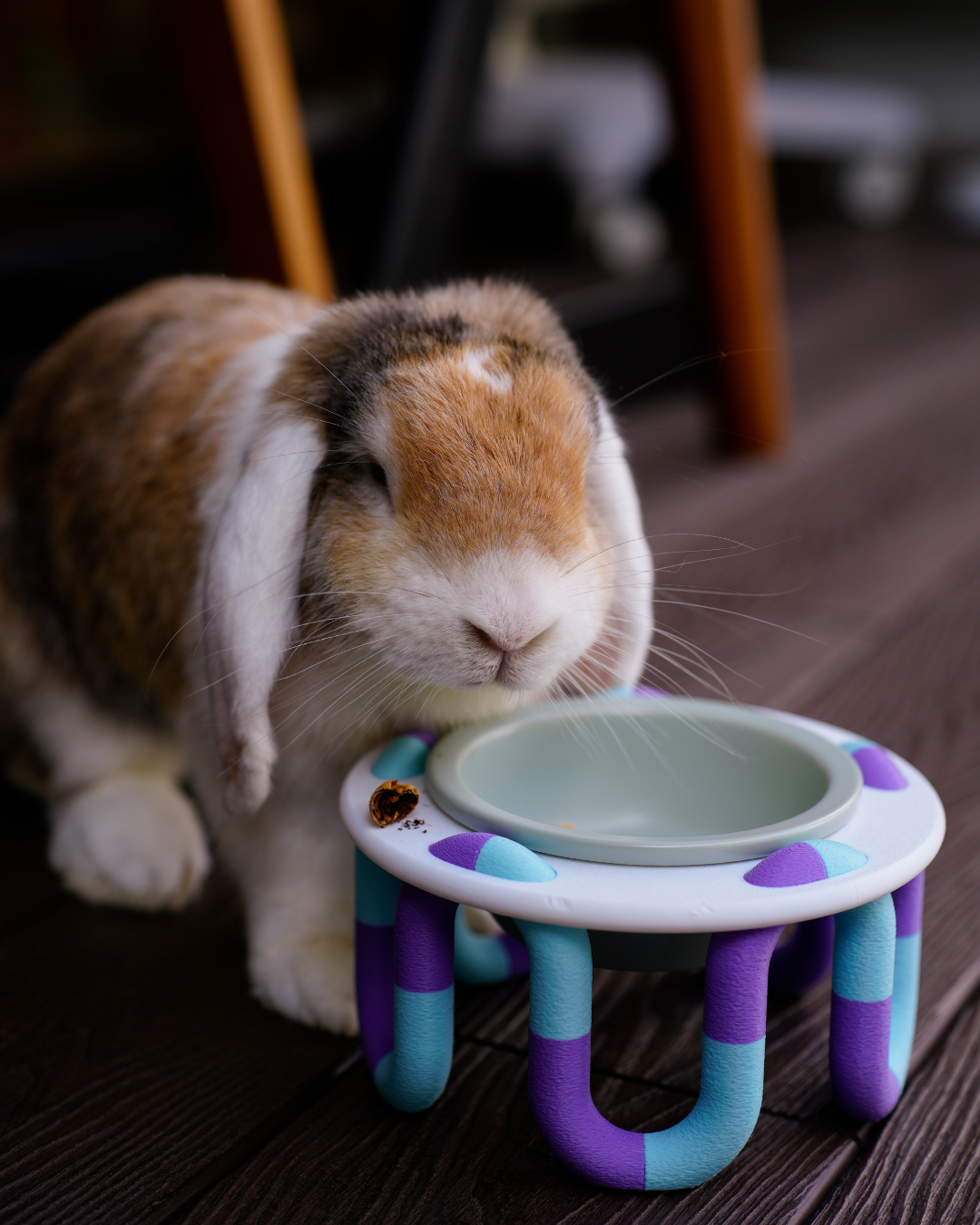 Petite Wiggly Pet Bowl // mix & match