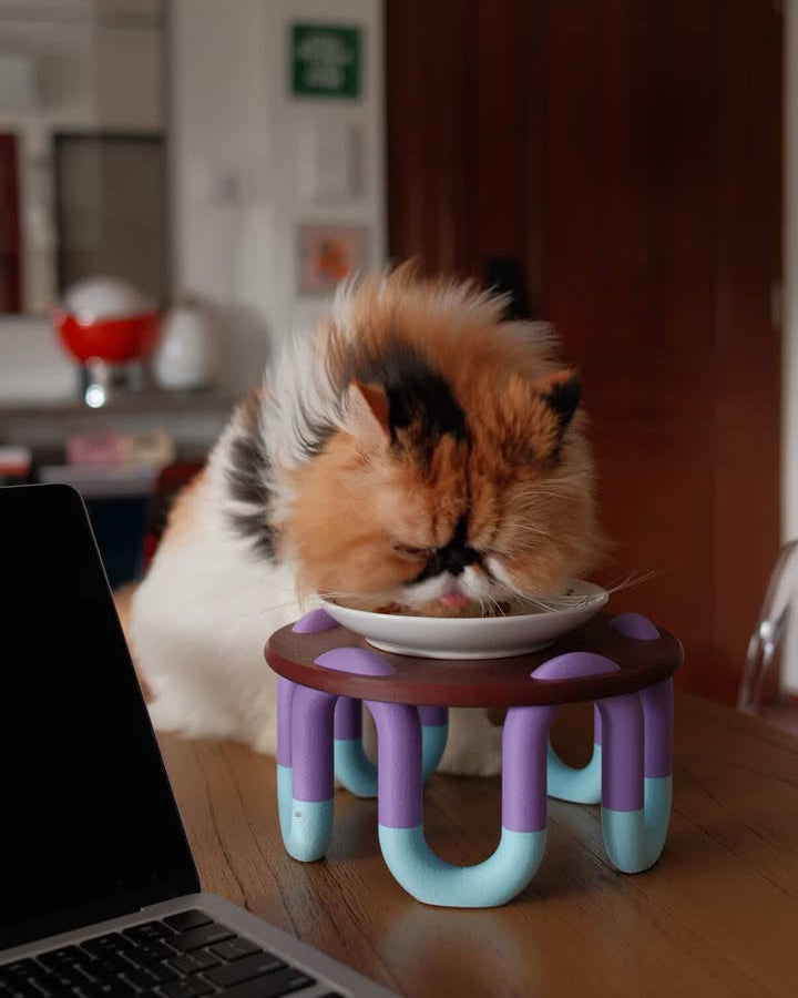 Cat drinking from a small bowl on a colorful stand in a kitchen setting