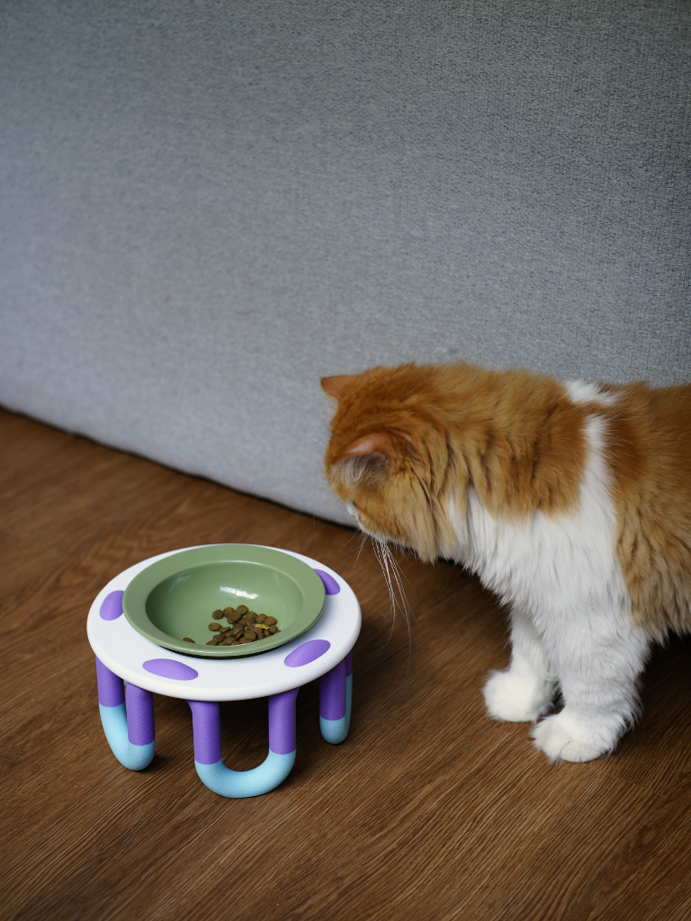 WIGGLY cat bowl // eat your peas!