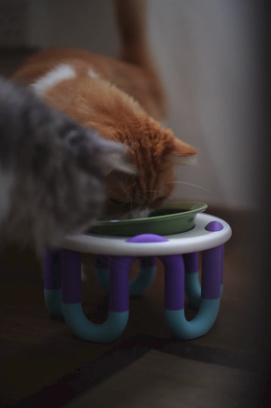 WIGGLY cat bowl // mix & match